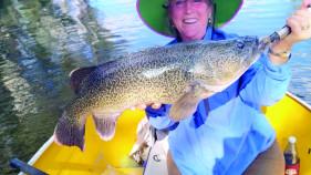 Helen reels in a superb 72cm cod