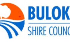 Municipal Monitor appointed to Buloke Shire Council - feature photo
