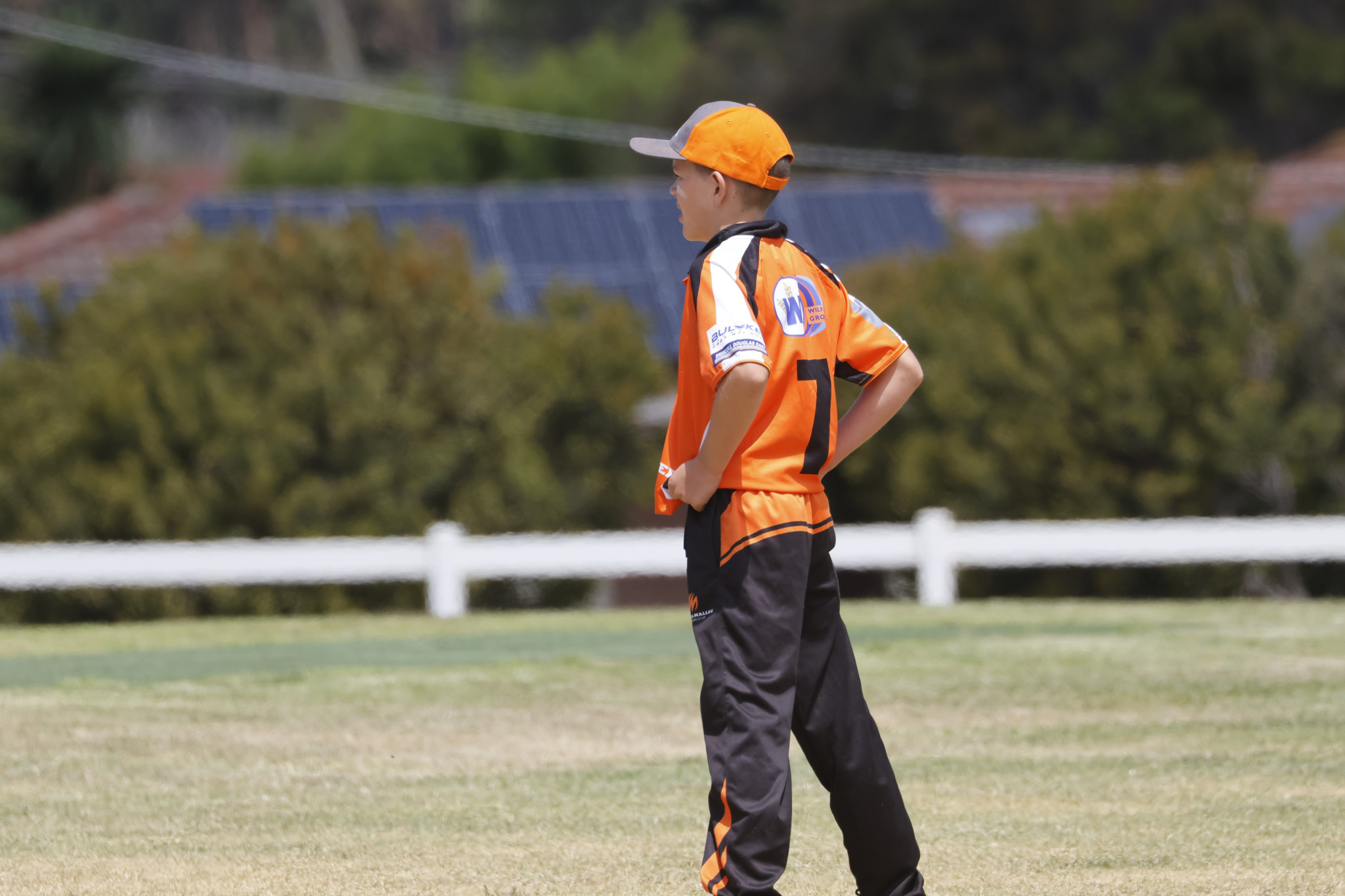 GALLERY: photos from Country Week cricket - feature photo