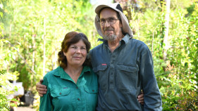 BEHIND THE BUSINESS: Sustainable stock at Farm Tree nursery