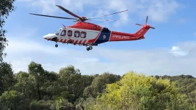 Driver airlifted after truck rolls on Logan bend