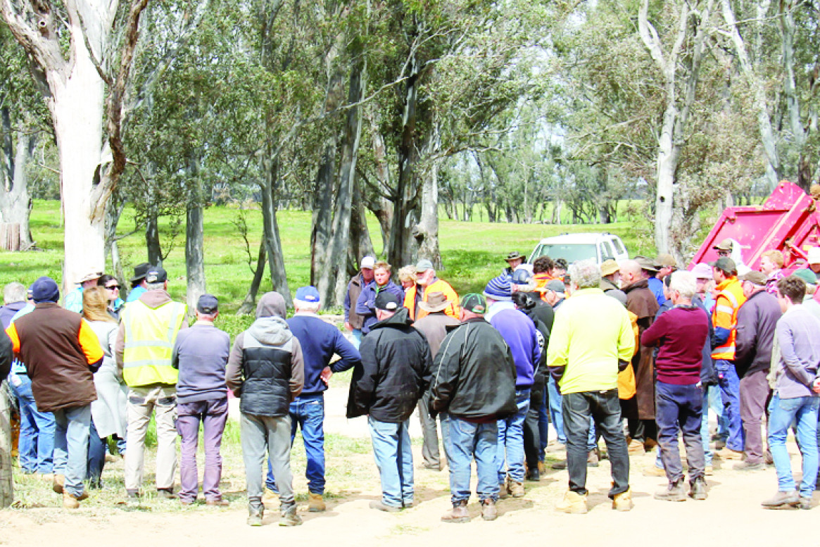 Auctioneer Brett Douglas from Driscoll Douglas East was surrounded by interested buyers throughout the sale.