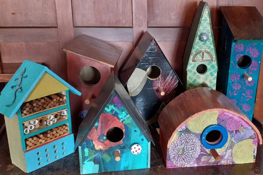 Colourful birdboxes to enhance the beauty of our surroundings