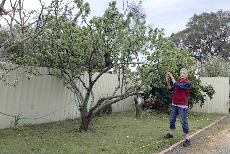 Nerrida Majors enjoys her garden, but for how long as her home is right next to the proposed 2-storey building.