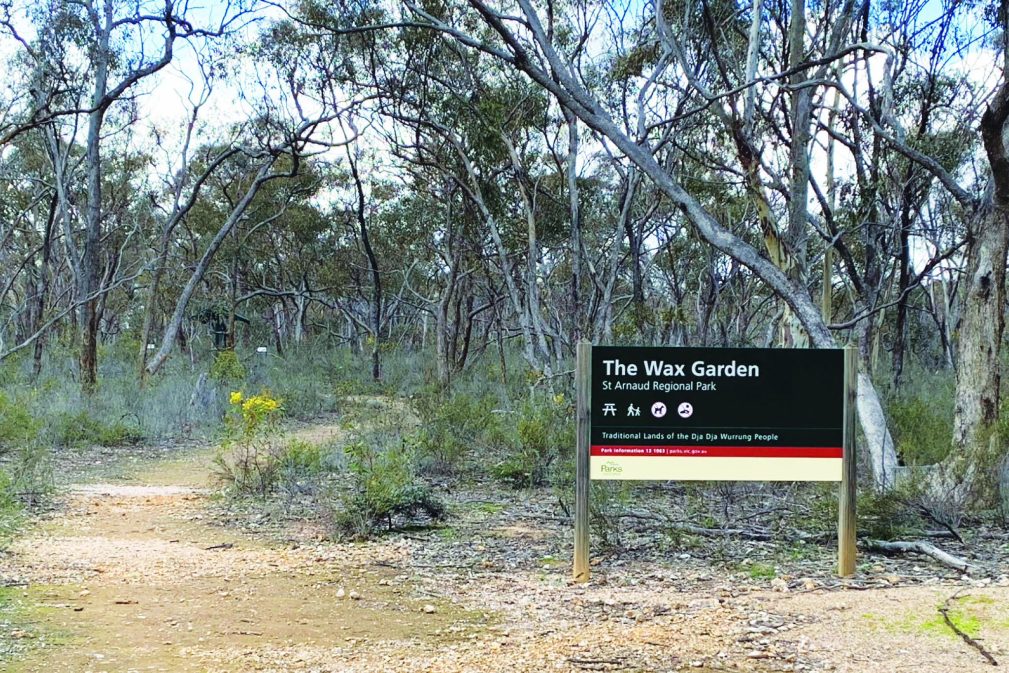 Club says naturally seek out treasures - feature photo